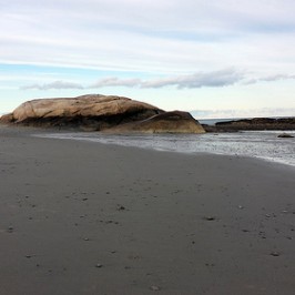 Running Into the New Year