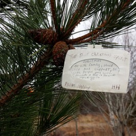 The true Christmas spirit