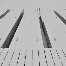 Snow like a blanket,